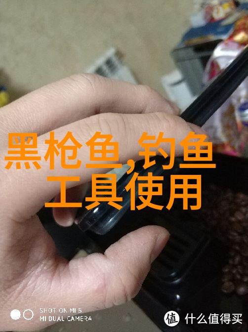 夏季最新老鬼鱼饵钓鳊鱼和花鲢的配方水深3米清水鱼塘