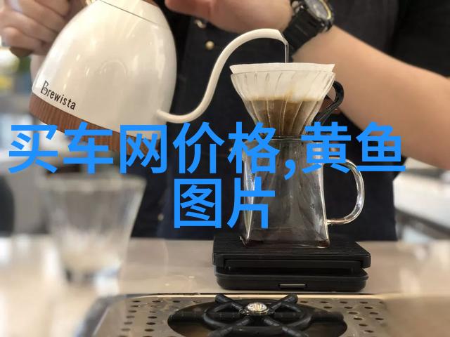 去海边钓鱼用什么竿比较好怎样选择好的鱼竿